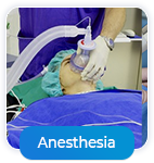 Anesthesia